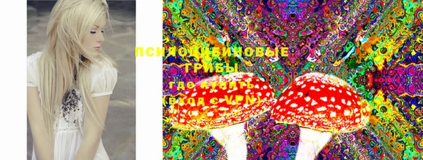 прущая мука Богданович